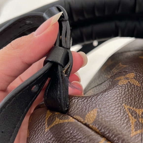 Louis Vuitton Palm Springs Backpack PM - Picture 7 of 16